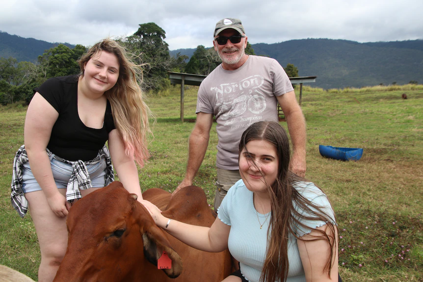 People are preferring to spend time with cows for mental peace and happiness.