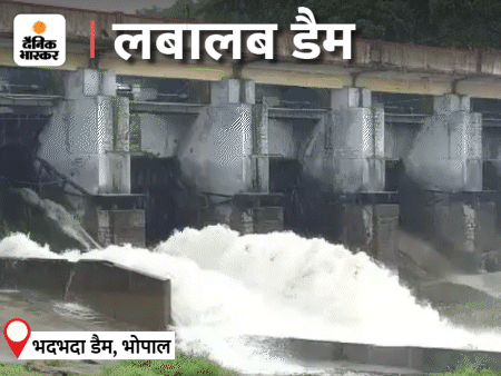 22-23 अगस्त को हुई जोरदार बारिश के बाद मप्र के ज्यादातर डैम फुल हो चुके हैं।