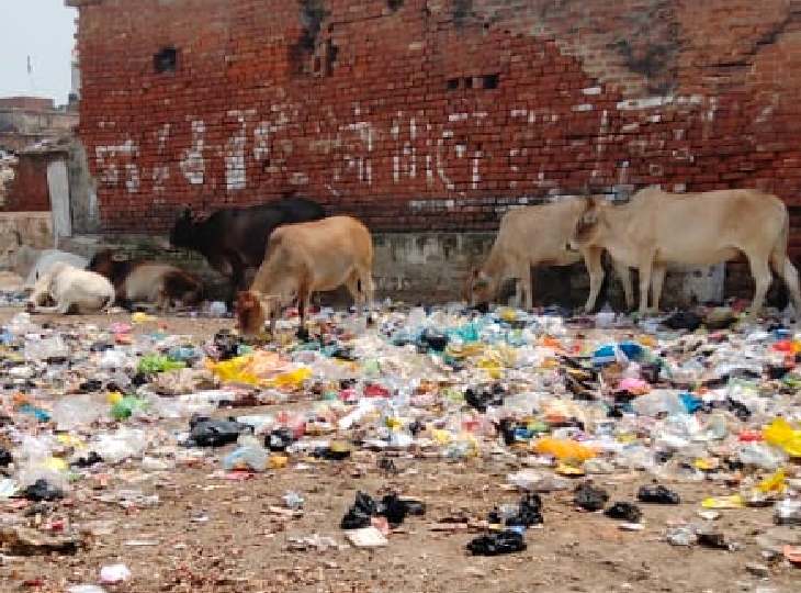35 tons of garbage rot in the streets and drains of the city | अयोध्या ...