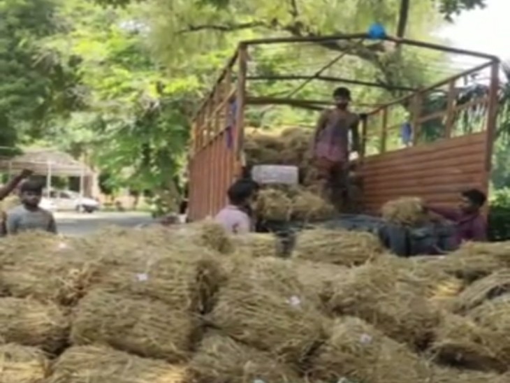 तस्करों से बरामद किया गया ट्रक और गांजा