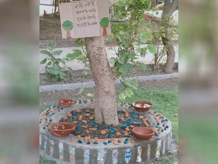 टाउनशिप में बच्चे पर्यावरण संरक्षण के लिए खास तौर पर समर्पित हैं।