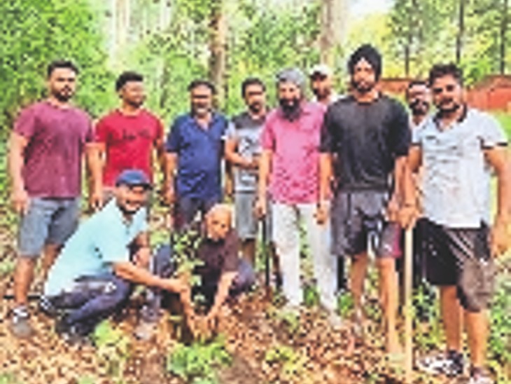 Planted one and a half lakh saplings in 6 years, two times the honor of ...