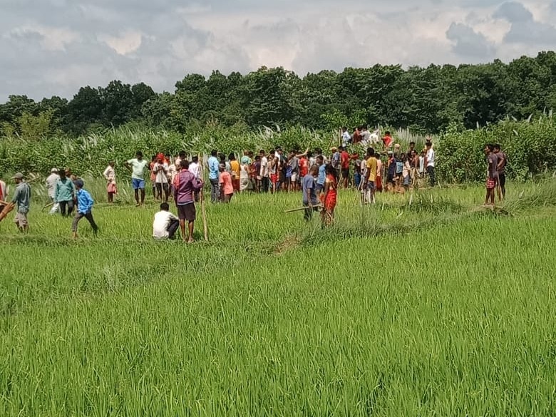 बुधवार को बाघ के हमले में एक 65 साल के किसान की मौत हो गई थी।