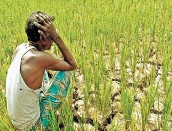 प्राकृतिक आपदा की चपेट में आने वाले सिर्फ 19%, फार्म मशीनरी के लिए भी ट्रेनिंग की जरूरत - Dainik Bhaskar
