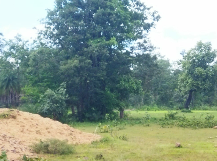 इसी जगह माओवादियों ने लगा रखी थी IED