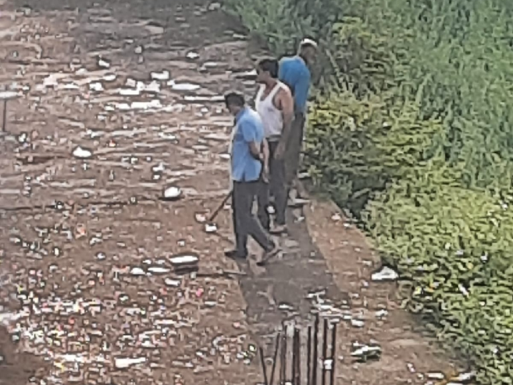 सियार की खाेज में निकले रहवासी। - Dainik Bhaskar