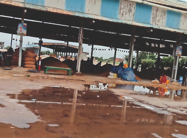 500 quintals of paddy reached the market, so far more than 30 thousand