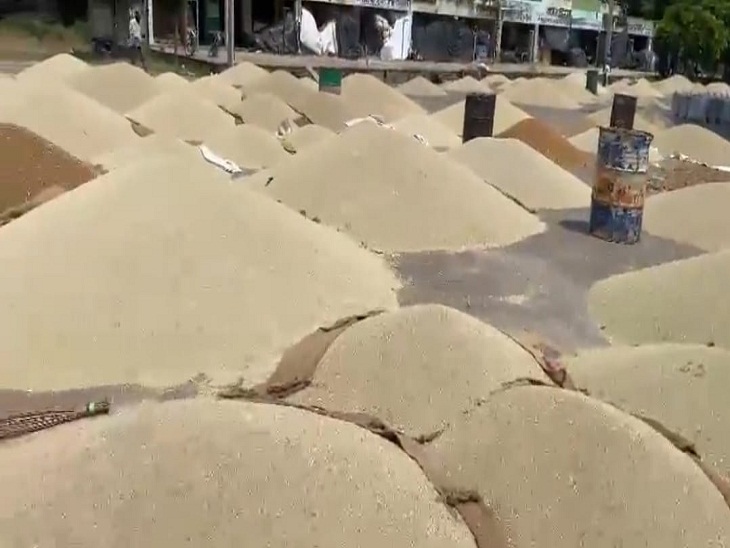दौसा मंडी में बिक्री के लिए लगी बाजरे की ढ़ेरी।