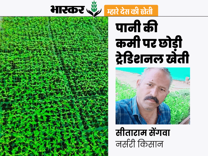 Rajasthan Lakhpati Farmer Success Story; Plant Nursery Farming