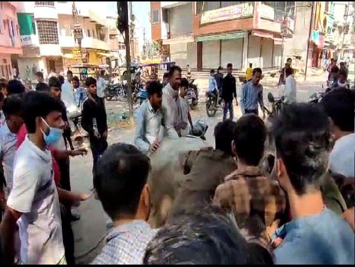 गाय को निकालते हुए