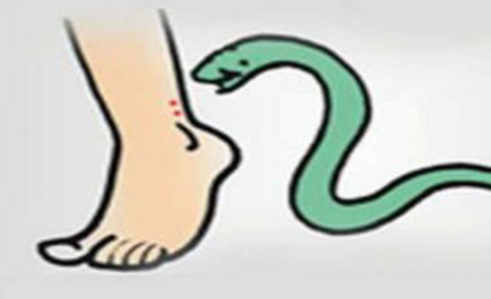 फाइल फोटो। - Dainik Bhaskar