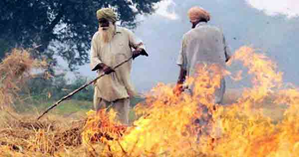 Stubble Burning Case Increased In Punjab 