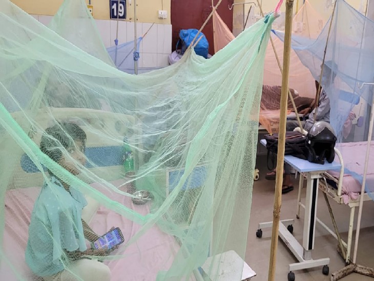 बेली अस्ताल के डेंगू वार्ड में भर्ती मरीज। यहां मरीजों को दवाएं अस्पताल से मिल रही हैं।