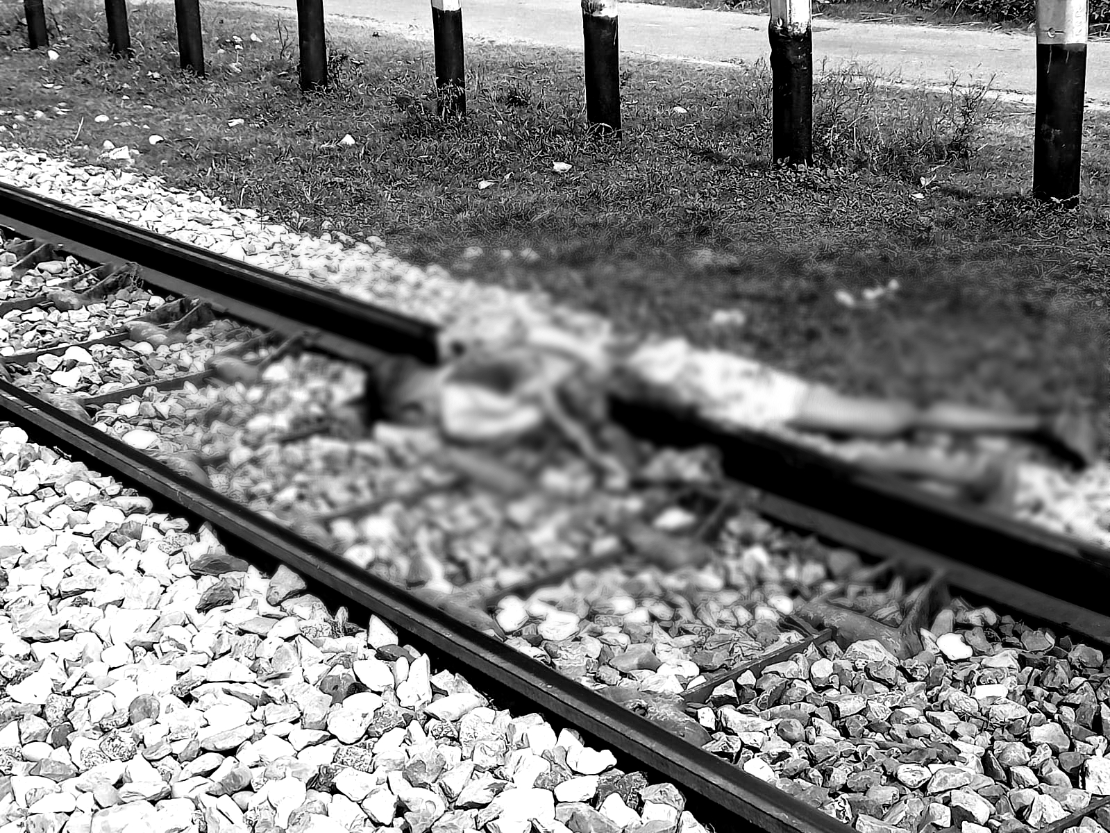 Dead body found in mutilated condition, police reached the spot