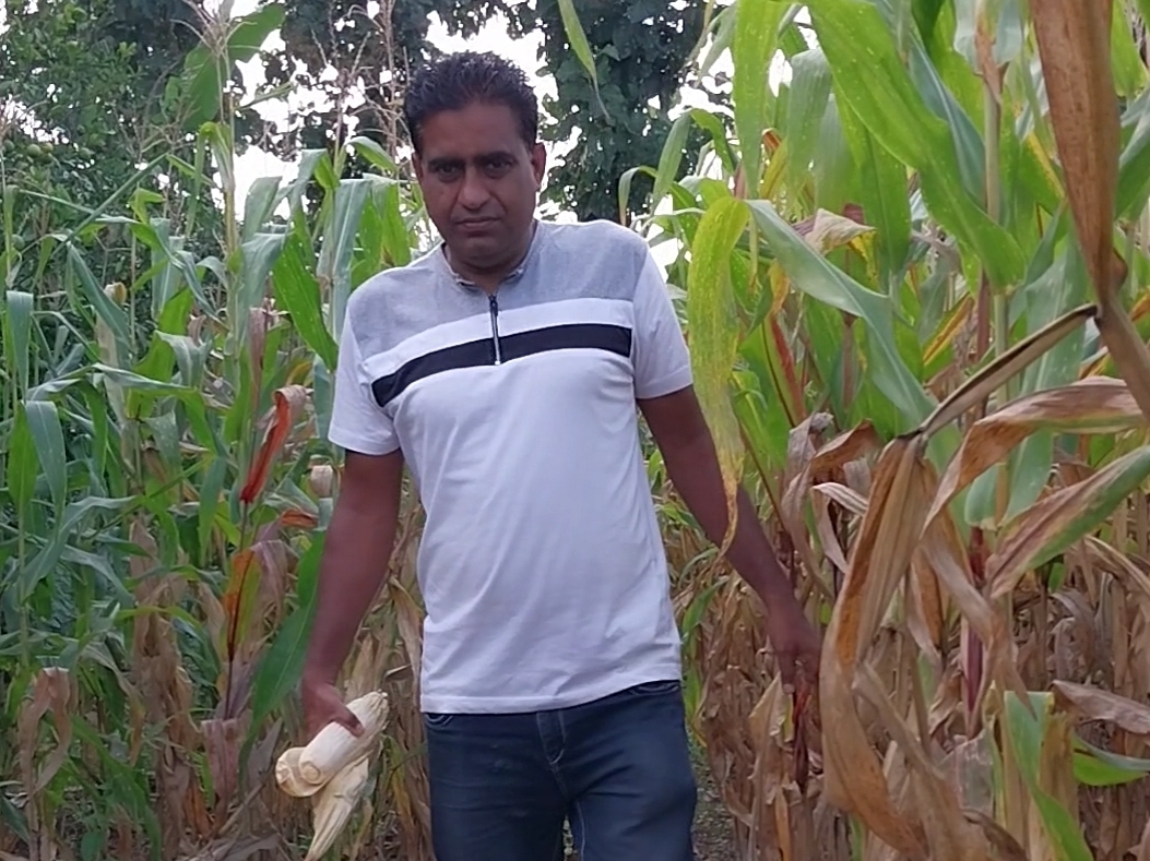 मक्का, गेहूं, सोयाबीन, गन्ना, मूंग, अरहर की पारंपरिक खेती भी करते हैं नवनीत वर्मा।