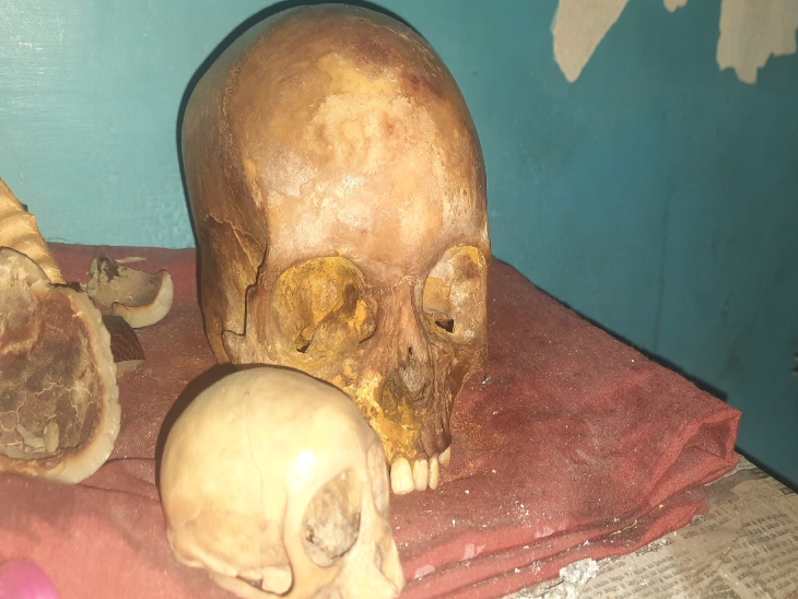 तस्वीर में दिख रही बड़ी खोपड़ी इंसान की है। छोटी खोपड़ी बंदर की है। साइज और वजन के अलावा ऊपर से देखने में दोनों में कोई खास फर्क नहीं दिखता है।