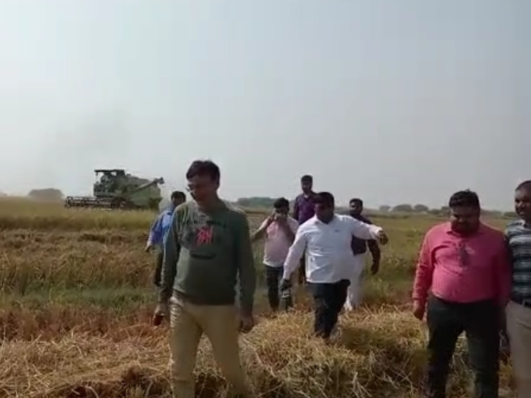 1 thousand bighas of land is being cleared by cutting the standing crop ...