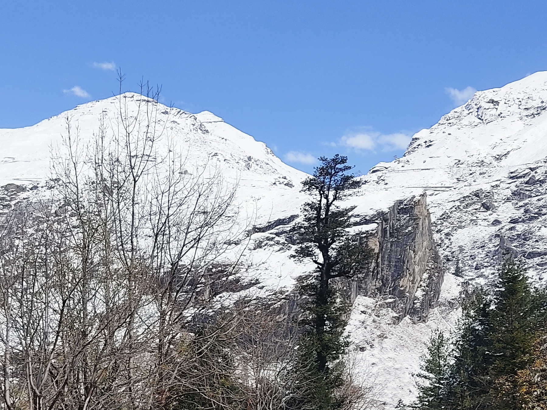 photo of snowfall in himachal; The hills covered the white sheets of ...