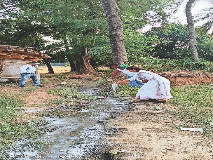 सतगावां प्रखंड के मीरगंज पंचायत के झरगाम में ब्लीचिंग पाउडर छिड़कती स्वास्थ्यकर्मी। - Dainik Bhaskar
