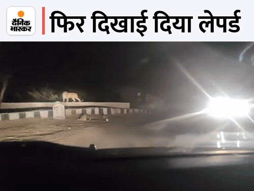 पुष्कर घाटी में दिखाई दिया था लेपर्ड-फाइल फोटो