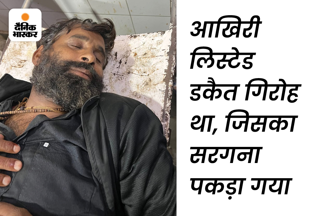 पुलिस का दावा है कि उसने गुड्डा गुर्जर के गिरोह की संरचना बिगाड़ दी है। उनके अनुसार यह अंतिम चिह्नित गिरोह था, जिसे लगभग समाप्त कर दिया गया है।