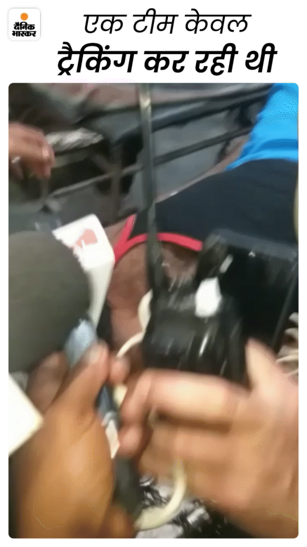 सीएम के ऐलान के बाद तीन जिलों की पुलिस गुड्डा को सर्च कर रही थी। एक टीम तो उसे ट्रैस करने के लिए नियुक्त की गई थी।