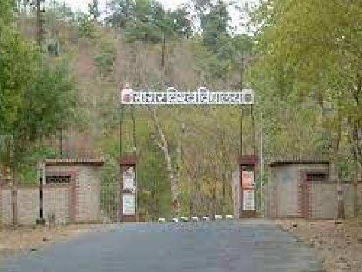 डॉ. हरीसिंह गौर विश्वविद्यालय में अगले शैक्षणिक सत्र यानी 2023-24 से पैरामेडिकल, इनवायरमेंटल साइंस और इंटीरियर डिजाइनिंग की पढ़ाई भी होगी। - Dainik Bhaskar