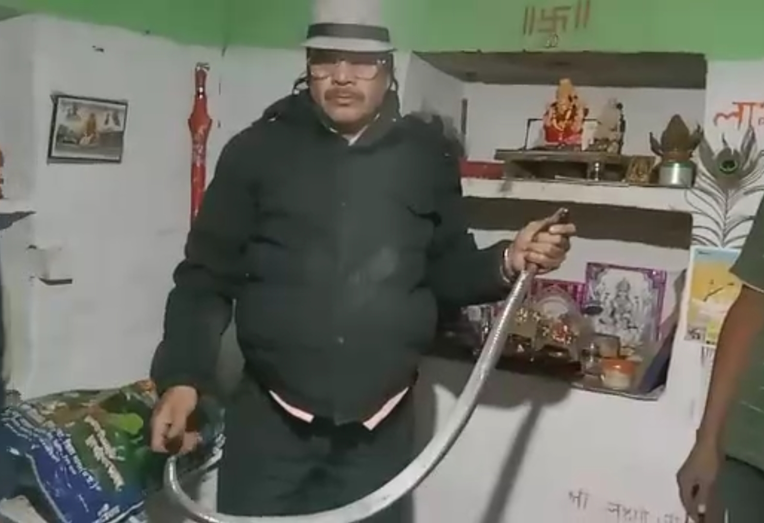 स्नेक कैचर ने रेस्क्यू कर कोबरा को पकड़ा।