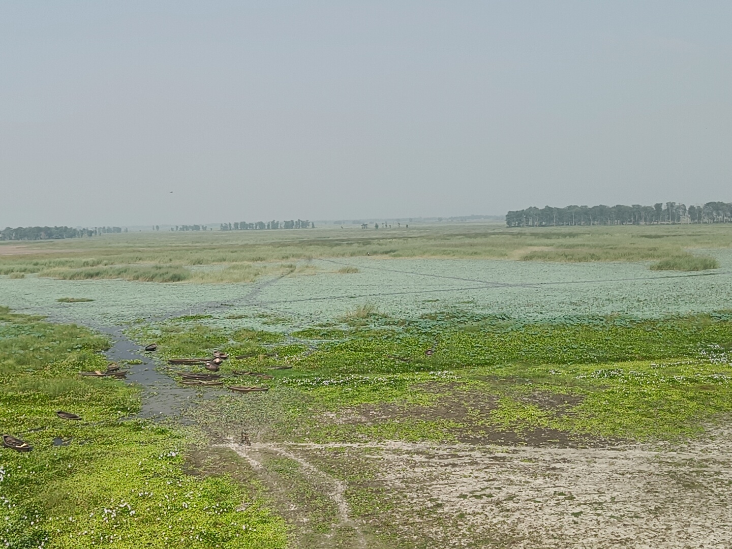 इस झील में उगे कमल के फूल इसकी सुंदरता पर चार चांद लगा देते हैं।