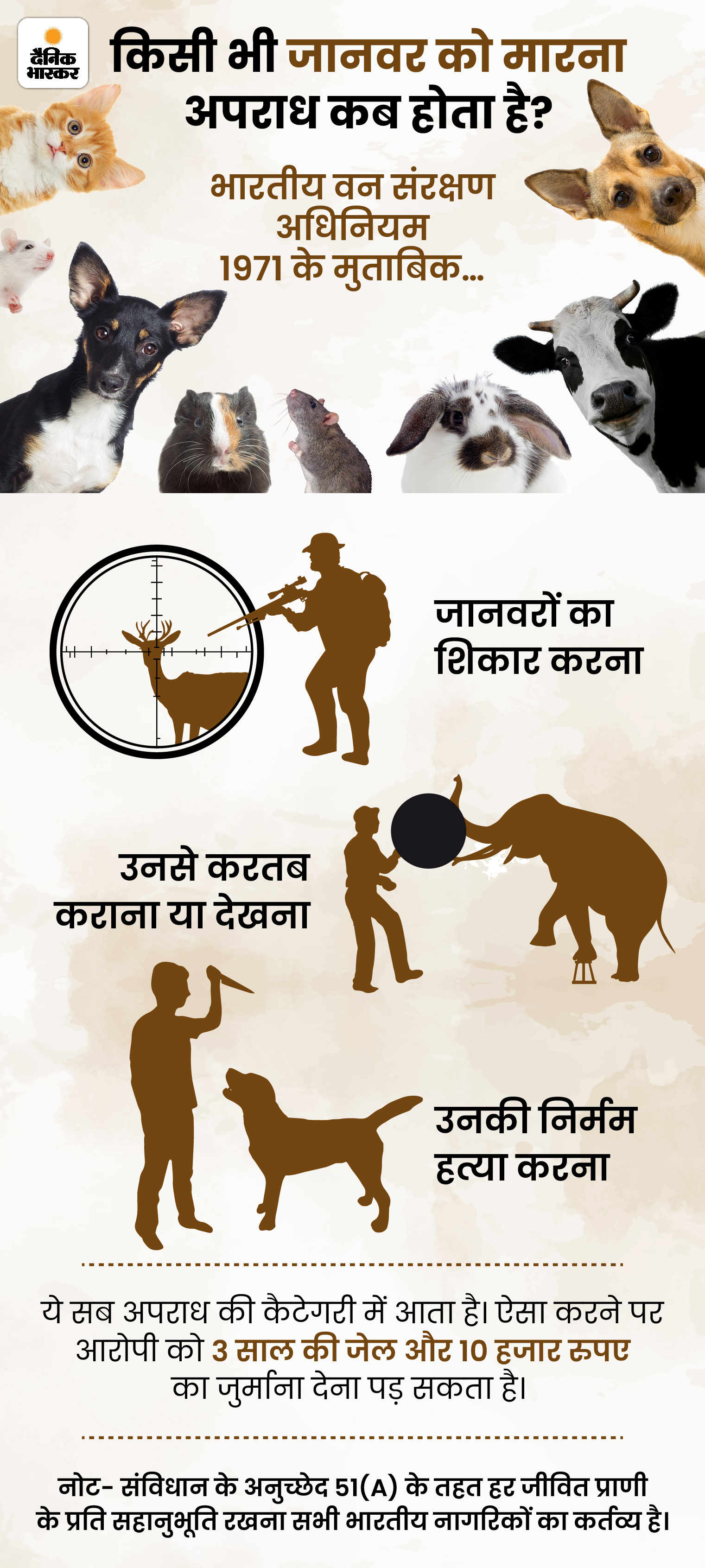 आम इंसान क्या करें जब चूहा कपड़े कुतरे या अनाज खाए? | UP (Budaun) Rat Murder Case; How To Keep Your House Rat Free Tips And Tricks 1 zkk30 novemberrat 03 1669786693