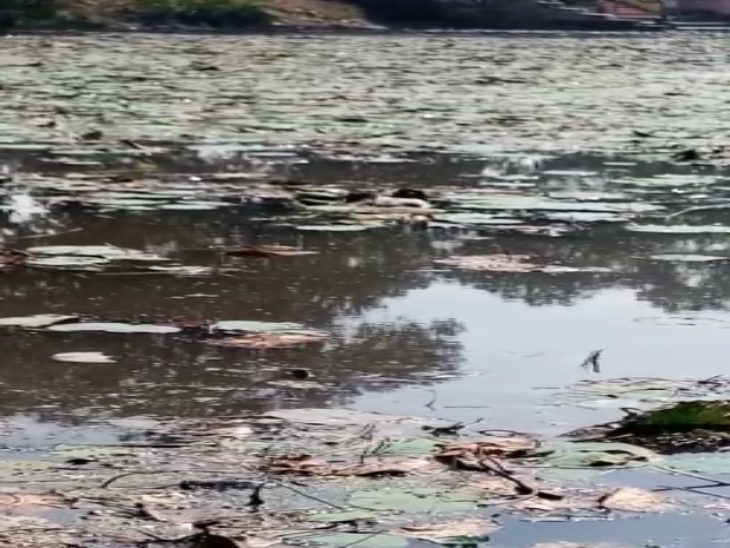 तालाब में मिला शव।