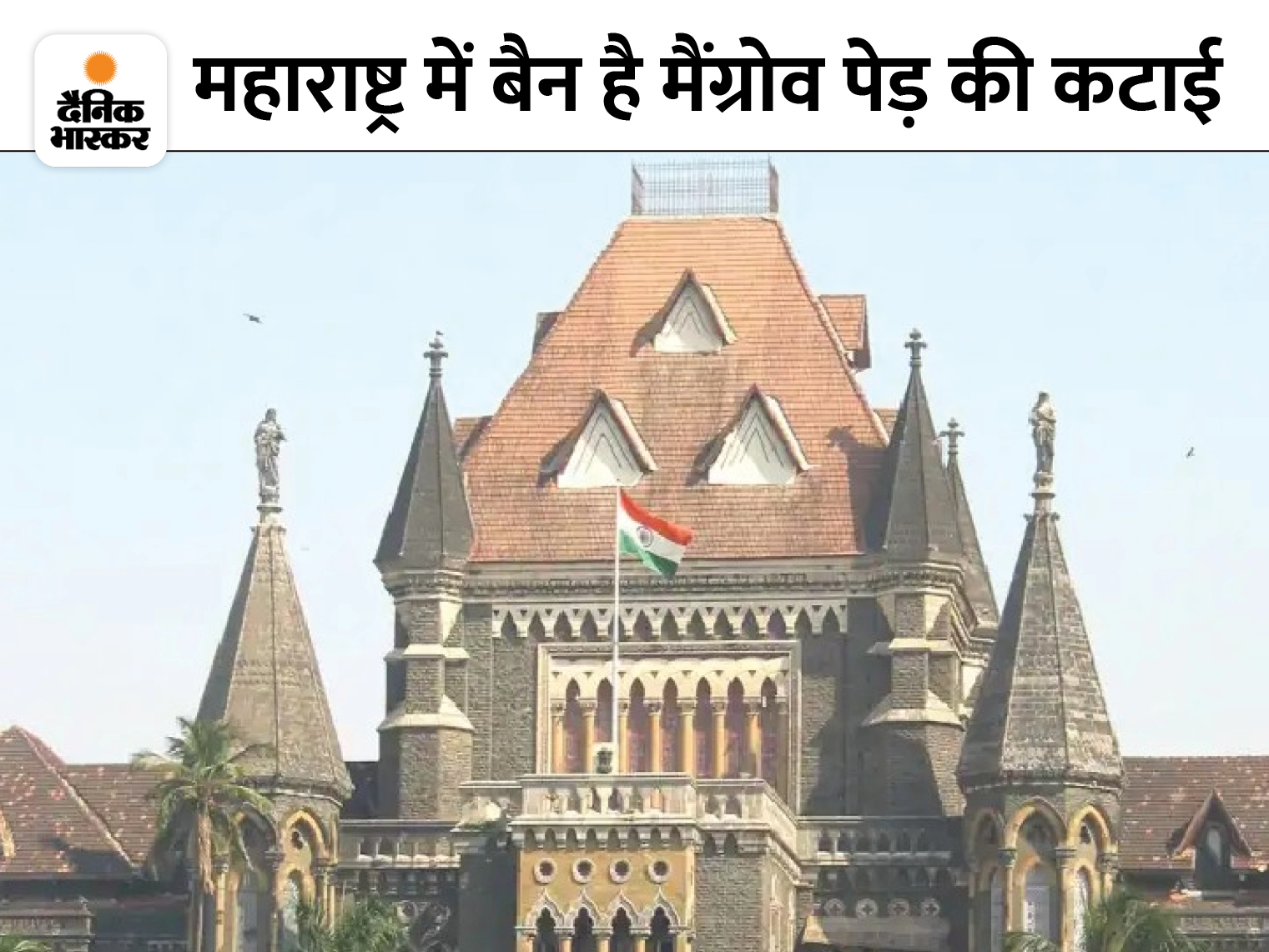 Bombay High Court 2025