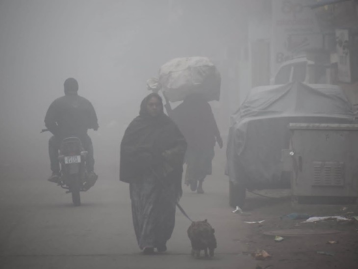 प्रयागराज में गलन बढ़ने के साथ कोहरा भी सुबह देखने को मिला।