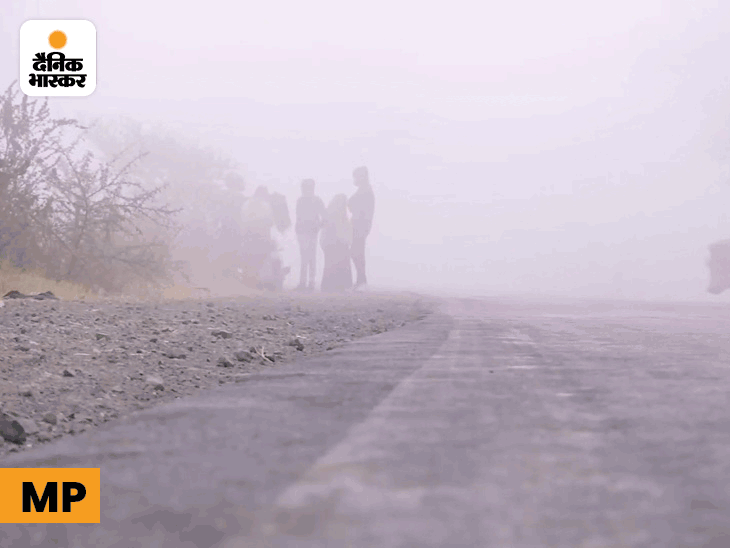 Dense fog in 4 states including RajasthanMP; Tractor overturns in fog in UP, three killed