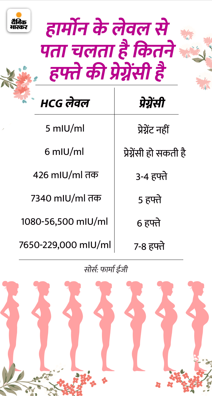 Pregnancy Test How To Use Pregnancy Test Kit At Home Guide