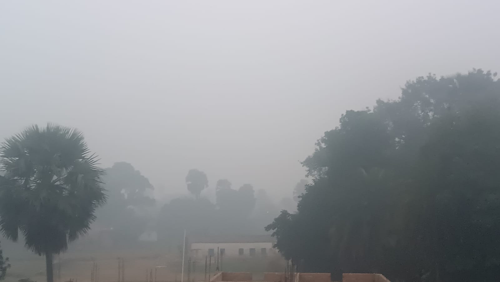बांका में सुबह-सुबह घना कोहरा।