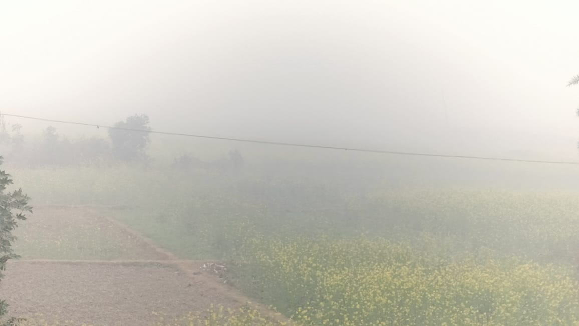 जमुई में सुबह-सुबह इस तरह घना कोहरा देखने को मिला।