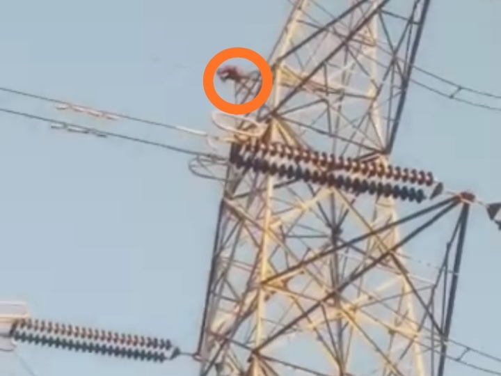 हाईटेंशन टावर पर चढ़ा युवक। - Dainik Bhaskar