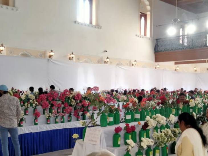 गुलाब प्रदर्शनी।