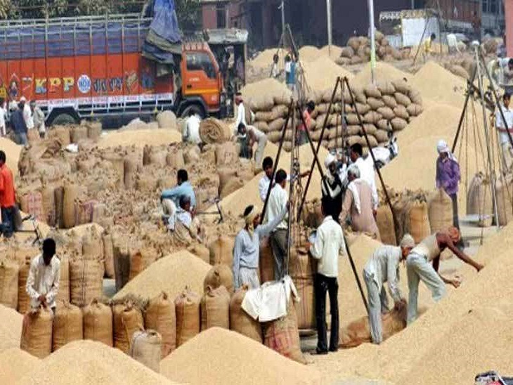 Paddy purchase record broken in Chhattisgarh: The government has bought 98.92 lakh metric tonnes of paddy so far, the centers will remain operational till January 31 | छत्तीसगढ़ में धान खरीदी का
