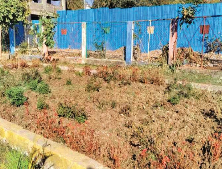 1.38 crore spent in 8 years in the name of the biggest rose garden, not