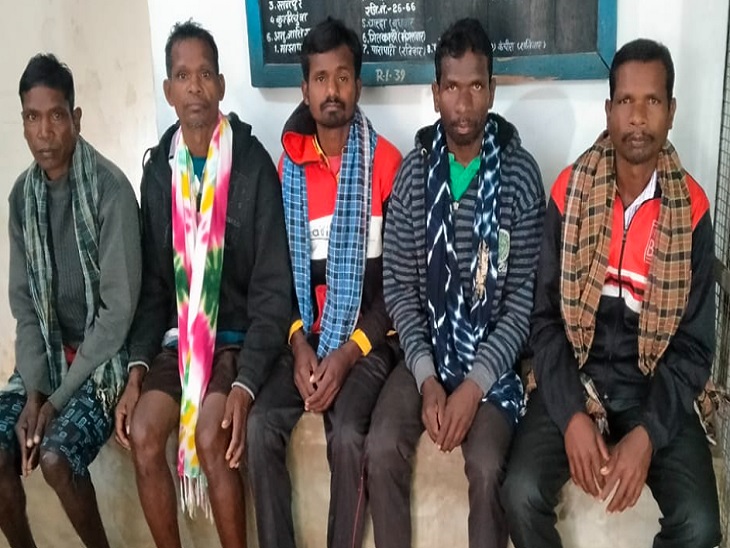 Raigarh News: Current laid to kill wild boar, young man died ...