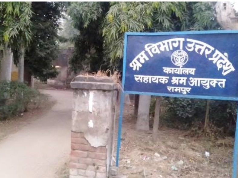 रामपुर | Rampur - Dainik Bhaskar