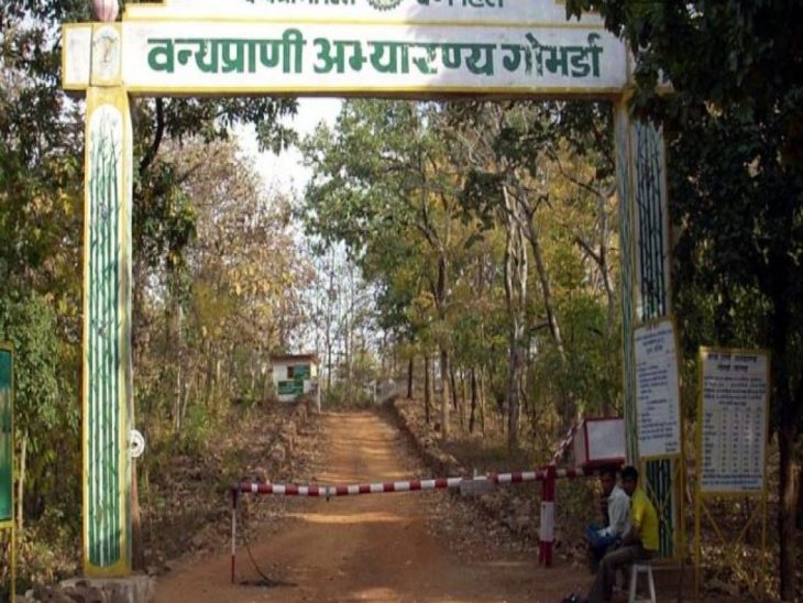 गोमर्डा अभयारण्य।
