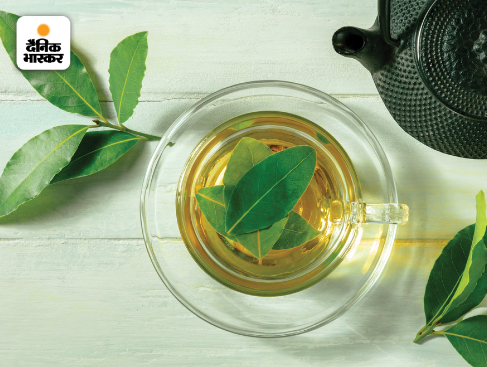 Bay leaf capsule is a panacea, there will be no diabetes, its water