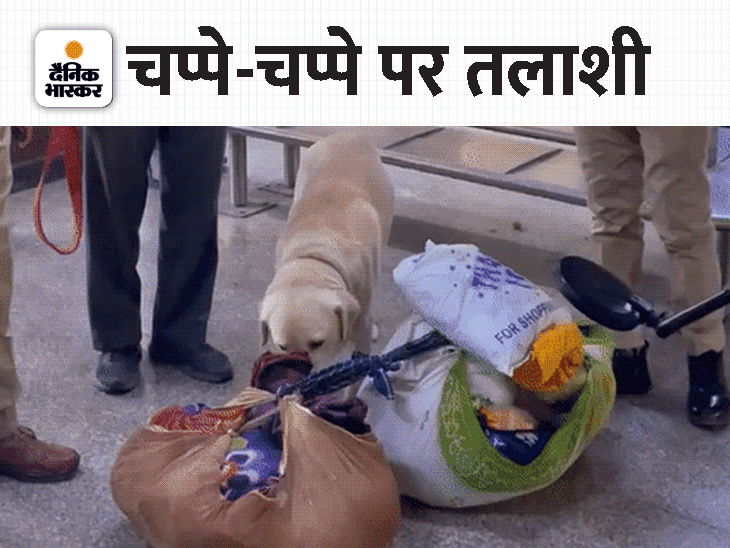Search with dog squad and metal detector at railway station