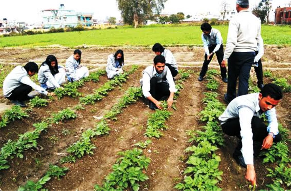 एग्रीकल्चर स्टूडेंट्स के एग्जाम 23 जनवरी से शुरू हो चुके हैं।