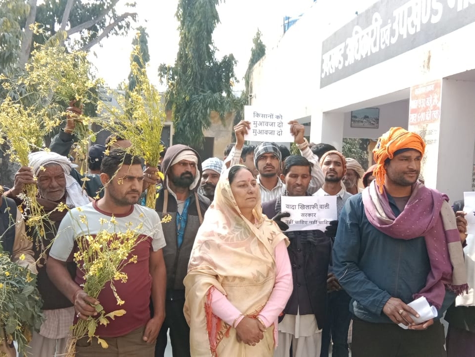 BJP took out rally in Neemkathana, submitted memorandum to SDM | पाले ...