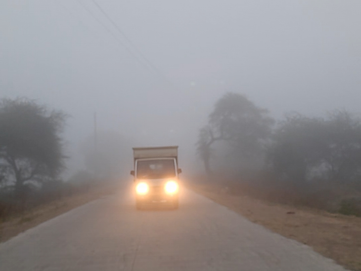 Dense fog shadow after cold wave in Ratlam, visibility reduced on roads ...