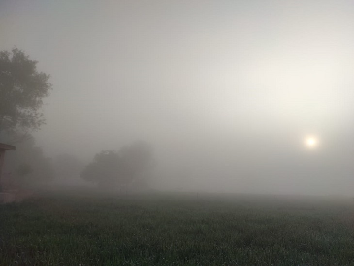 The minimum temperature in Fatehpur is 8 degrees, the weather will remain  dry till February 4. | फतेहपुर में न्यूनतम तापमान 8 डिग्री, 4 फरवरी तक  शुष्क रहेगा मौसम - Dainik Bhaskar